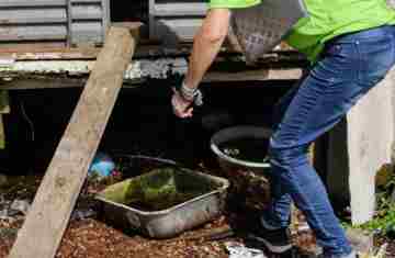 Casos e mortes de dengue caem mais de 80% no Paraná em 2025